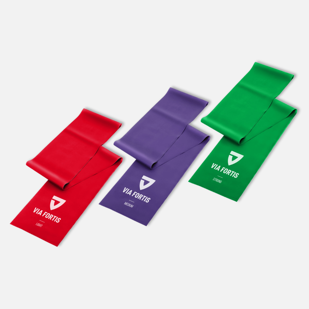 Bandes de fitness + accroche porte OFFERT