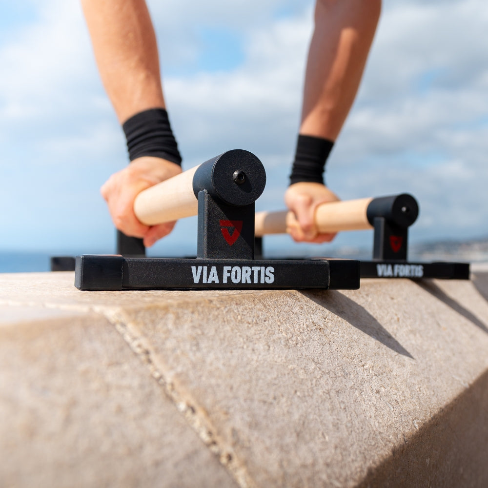 Barres Parallettes Basses Pro