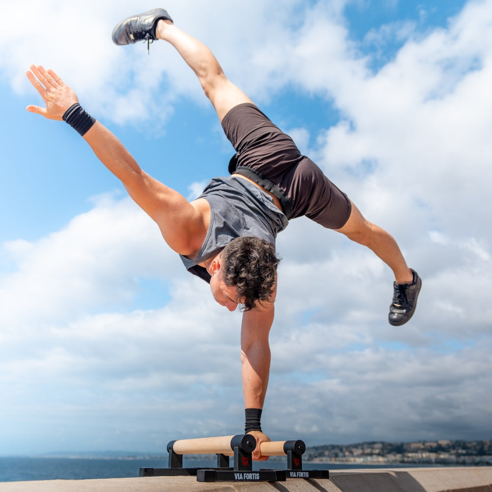 Barres Parallettes Basses Pro