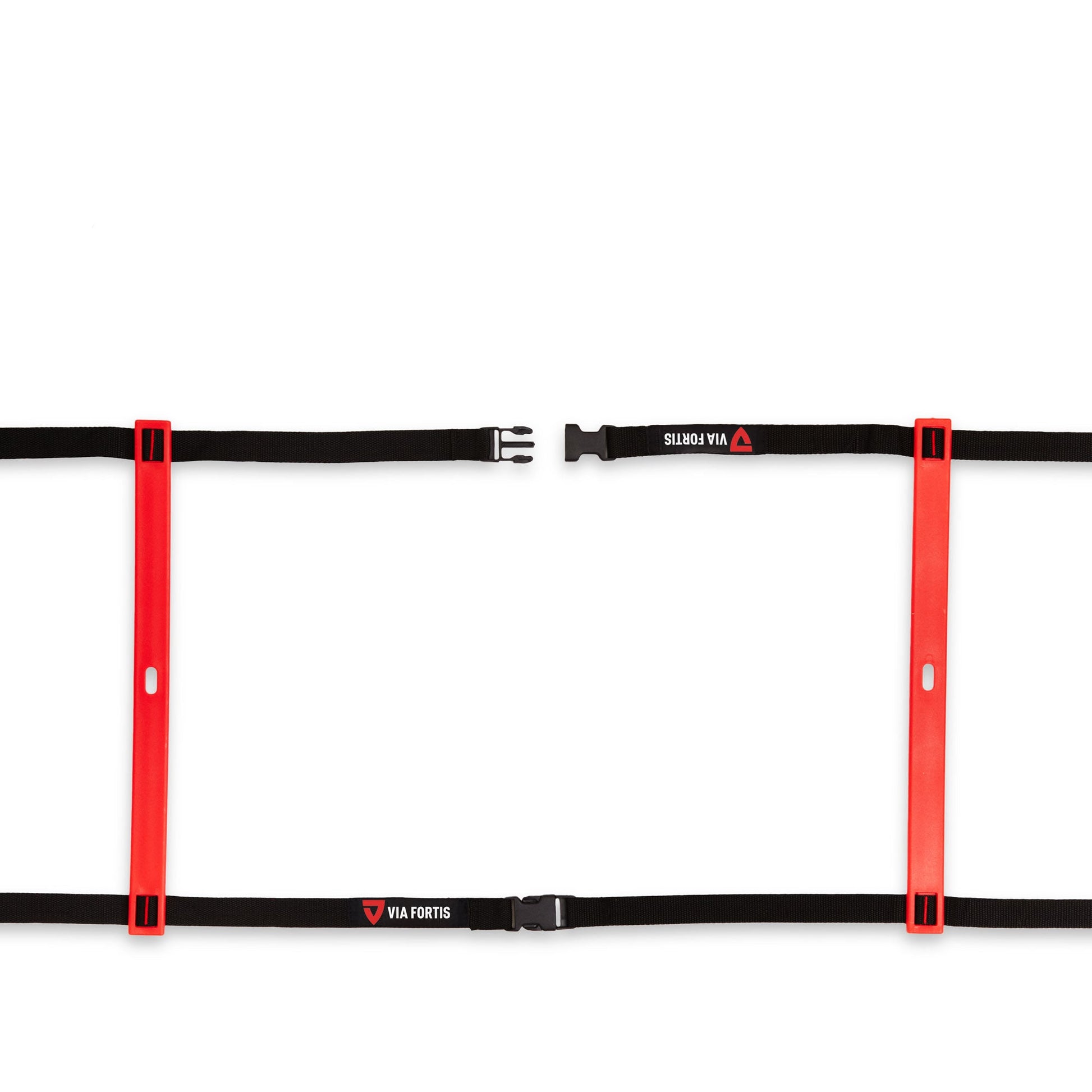 VIA FORTIS Premium Trainingsleiter