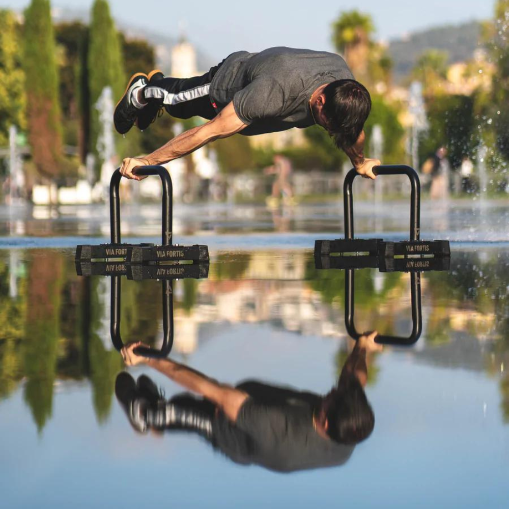 Barres Parallettes Premium